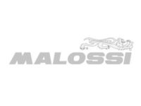 Malossi