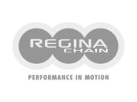 Regina Chain - Performance in Motion